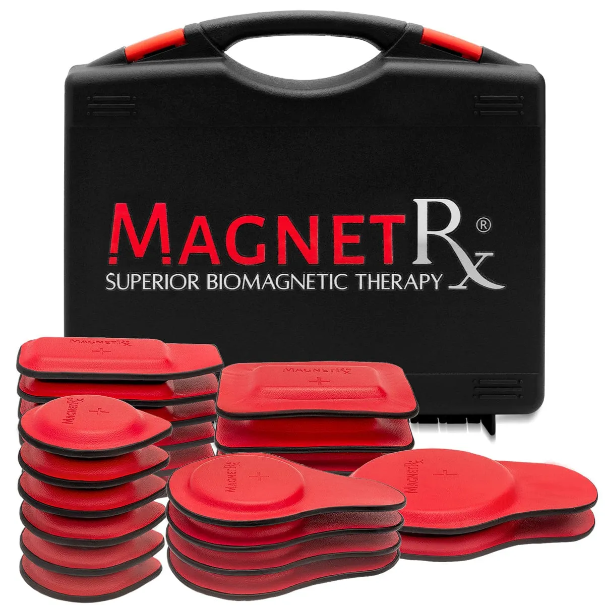 Biomagnetic Therapy Magnets Kit (22 Mixed Units)