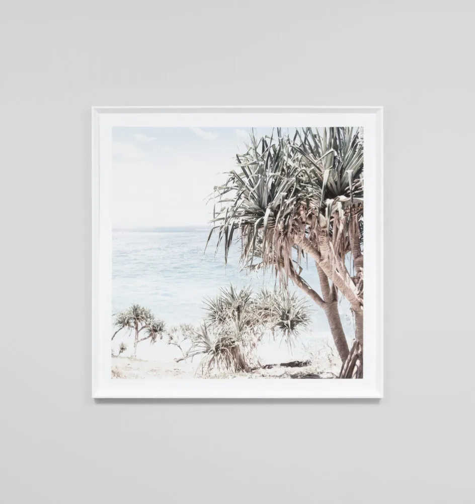 Coastal Palms Framed Print