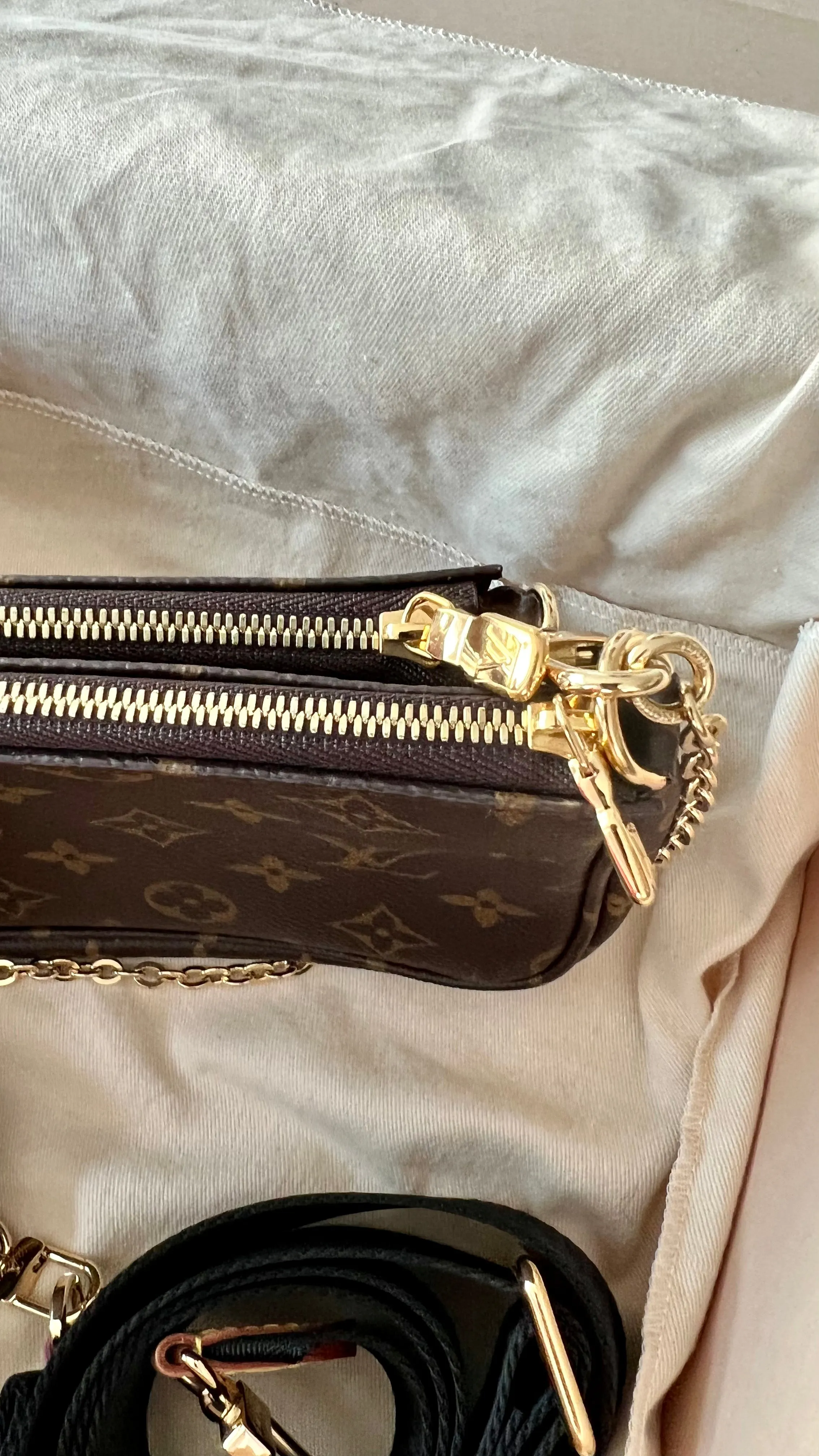 Louis Vuitton Multi Pochette Accessories Bag