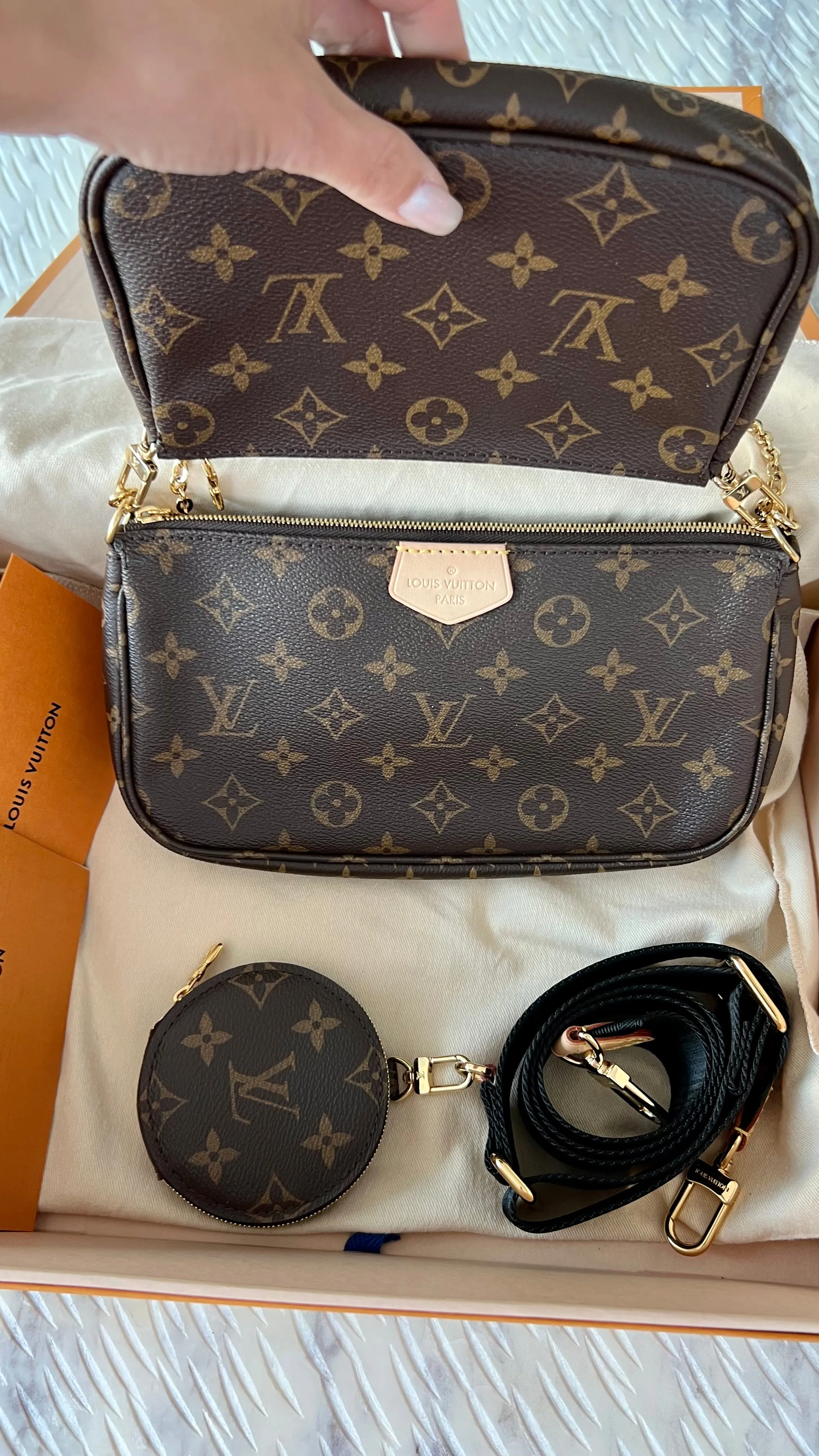 Louis Vuitton Multi Pochette Accessories Bag